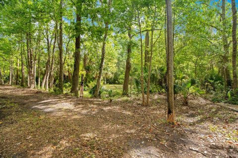 Land in Sanford, Florida № 1681081 - photo 2