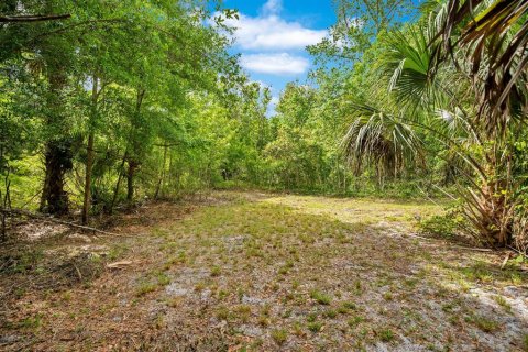 Land in Sanford, Florida № 1681081 - photo 14