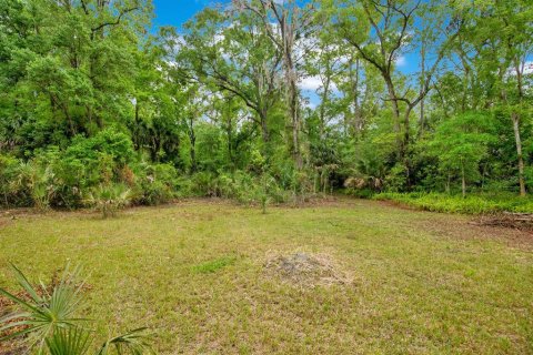 Land in Sanford, Florida № 1681081 - photo 8