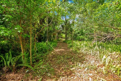 Land in Sanford, Florida № 1681081 - photo 11