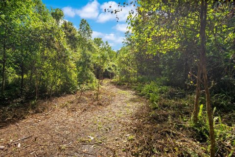 Land in Sanford, Florida № 1681081 - photo 10