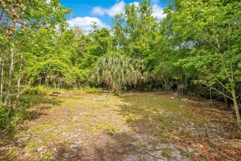 Land in Sanford, Florida № 1681081 - photo 12