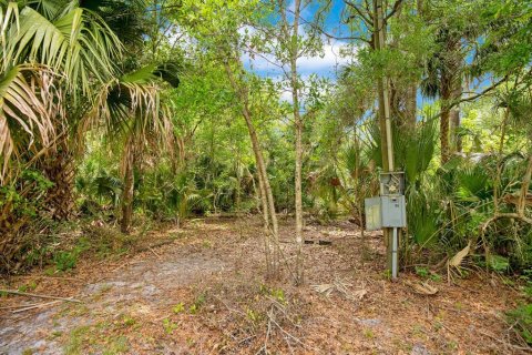 Land in Sanford, Florida № 1681081 - photo 15