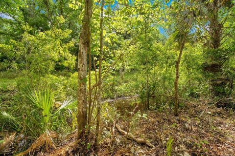Land in Sanford, Florida № 1681081 - photo 13