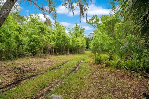 Land in Sanford, Florida № 1681081 - photo 6