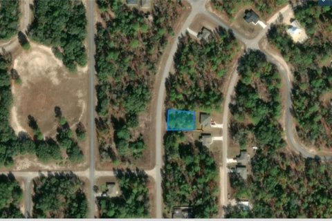 Land in Dunnellon, Florida № 2160407