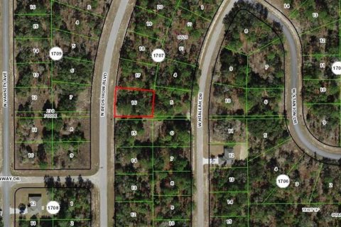 Land in Dunnellon, Florida № 2160407 - photo 2