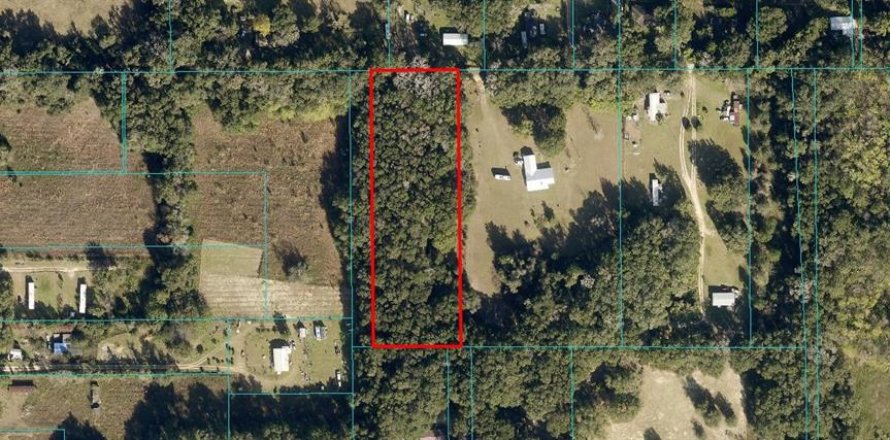 Land in Citra, Florida № 1751251