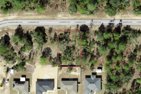 Land in Citrus Springs, Florida № 2345549