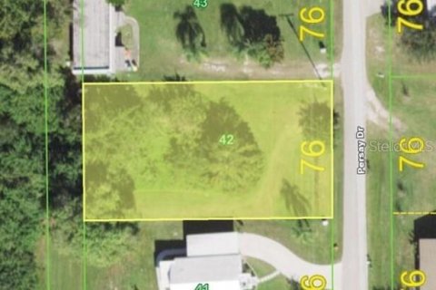 Land in Punta Gorda, Florida № 2162923 - photo 2