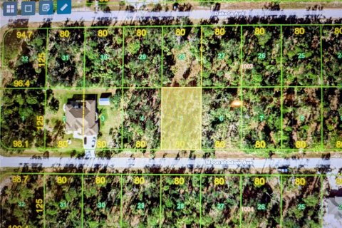Land in Port Charlotte, Florida № 2232123