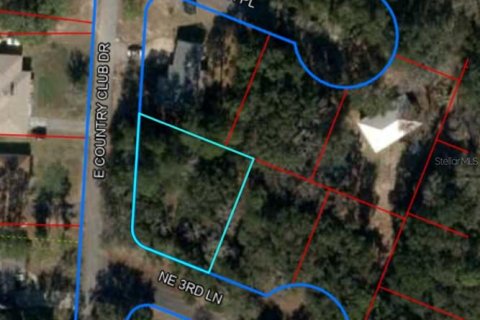 House in Williston, Florida 4 bedrooms, 170.94 sq.m. № 1800641 - photo 3