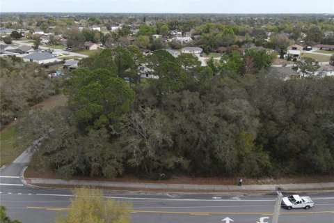 Terrain à vendre à Deltona, Floride № 2235358 - photo 3