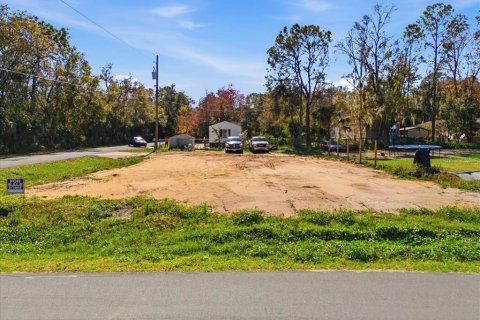 Land in Kissimmee, Florida № 2099491 - photo 9
