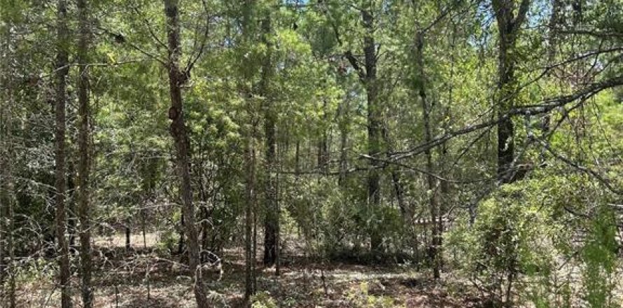 Land in Welaka, Florida № 1837078