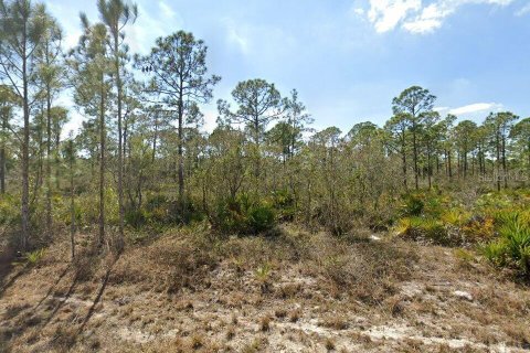 Land in Lake Placid, Florida № 2163072 - photo 3