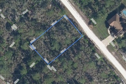 Land in Lake Placid, Florida № 2163072 - photo 2