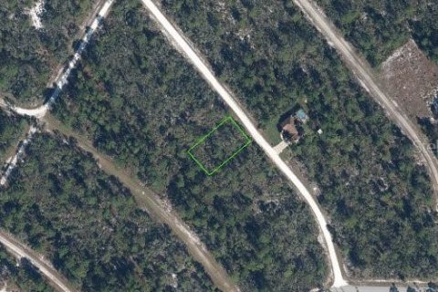 Land in Lake Placid, Florida № 2163072