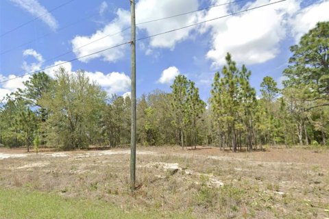 Land in Dunnellon, Florida № 2161784 - photo 2