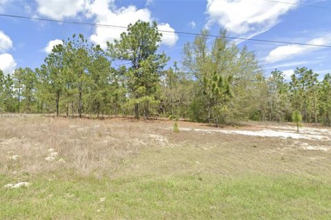Land in Dunnellon, Florida № 2161784 - photo 3