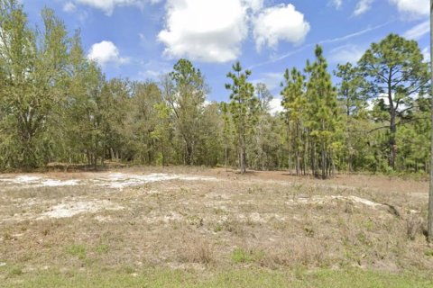 Land in Dunnellon, Florida № 2161784