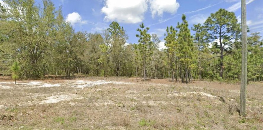 Land in Dunnellon, Florida № 2161784