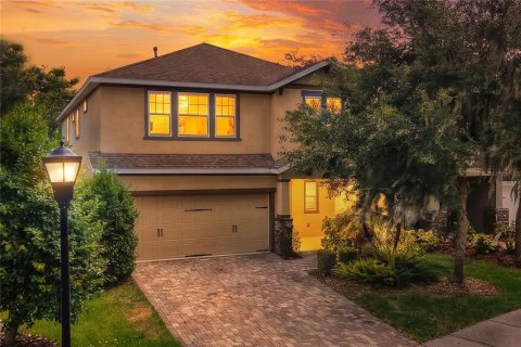 Villa ou maison à Fish Hawk, Floride 4 chambres, 240.99 m2 № 2140579