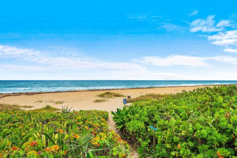 Immobilier commercial à louer à Boynton Beach, Floride: 2 pièces, 37.16 m2 № 2269699 - photo 9
