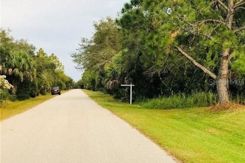 Land in Port Charlotte, Florida № 2360765