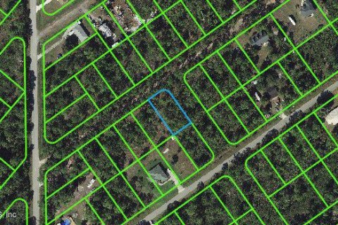 Land in Lake Placid, Florida № 2233136