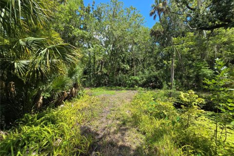 Terreno en venta en Sanford, Florida № 1856486 - foto 16