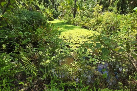 Terreno en venta en Sanford, Florida № 1856486 - foto 11