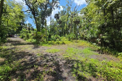 Terreno en venta en Sanford, Florida № 1856486 - foto 12