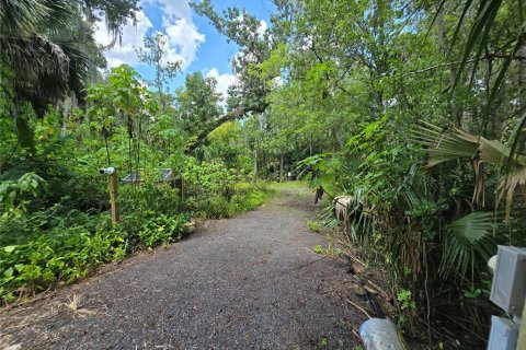 Terreno en venta en Sanford, Florida № 1856486 - foto 2