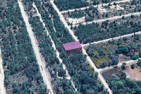 Land in Lake Placid, Florida № 2323297
