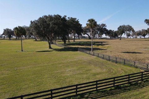 Terrain à vendre à Summerfield, Floride № 2155215 - photo 6