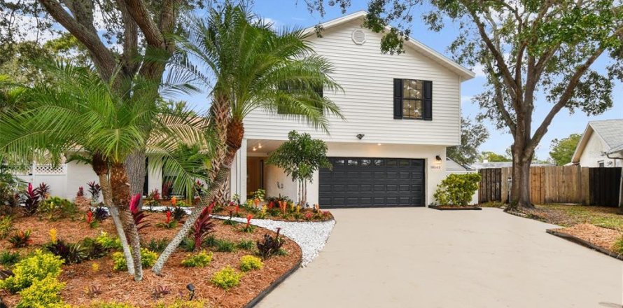 Villa ou maison à Tampa, Floride 6 chambres, 232.81 m2 № 2111305