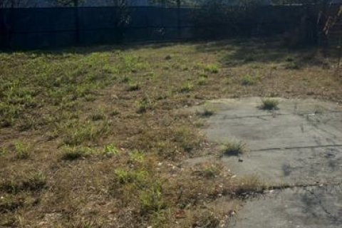 Land in Auburndale, Florida № 2159488 - photo 2
