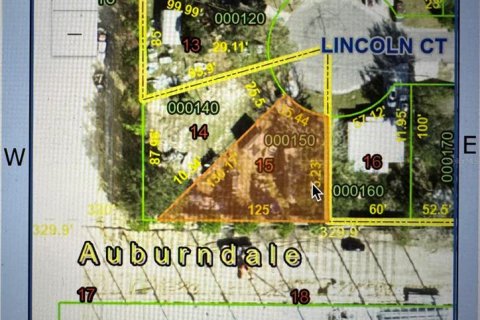 Land in Auburndale, Florida № 2159488 - photo 4