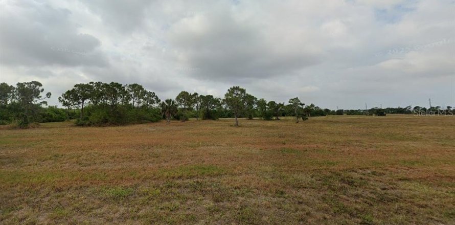 Terrain à Placida, Floride № 2218116