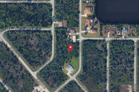Land in Port Charlotte, Florida № 2162136 - photo 2
