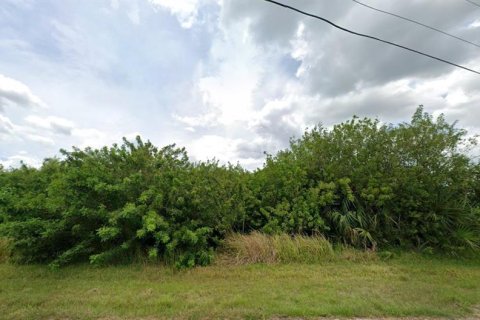 Land in Port Charlotte, Florida № 2162136 - photo 4