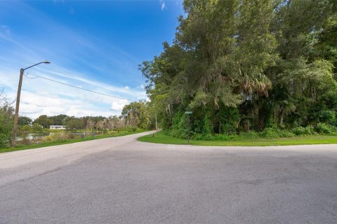 Land in Lake Helen, Florida № 1894813 - photo 16