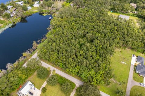 Land in Lake Helen, Florida № 1894813 - photo 5