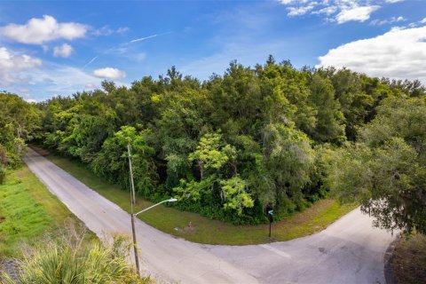 Land in Lake Helen, Florida № 1894813 - photo 14