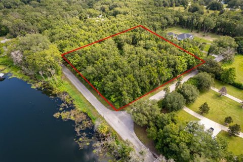 Land in Lake Helen, Florida № 1894813 - photo 3