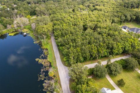 Land in Lake Helen, Florida № 1894813 - photo 4