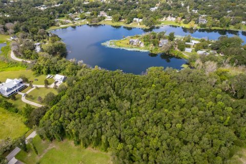 Land in Lake Helen, Florida № 1894813 - photo 7