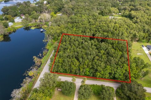 Land in Lake Helen, Florida № 1894813 - photo 2