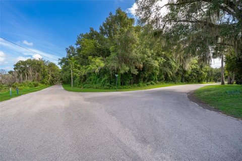 Land in Lake Helen, Florida № 1894813 - photo 15